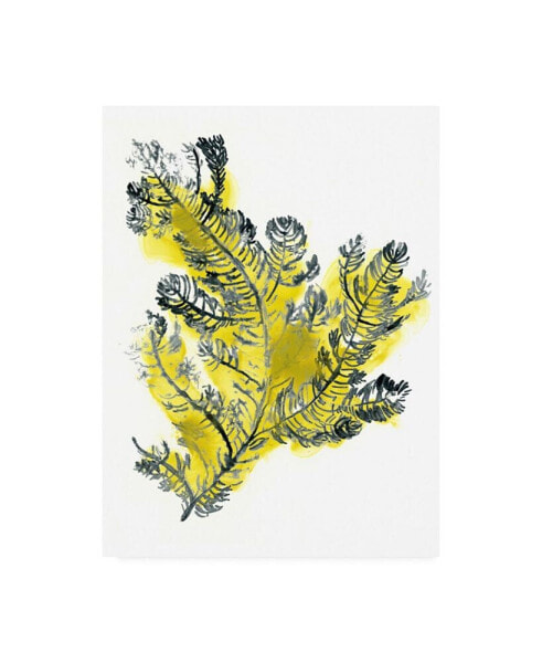 June Erica Vess Citron Sea Kelp IV Canvas Art - 15.5" x 21"