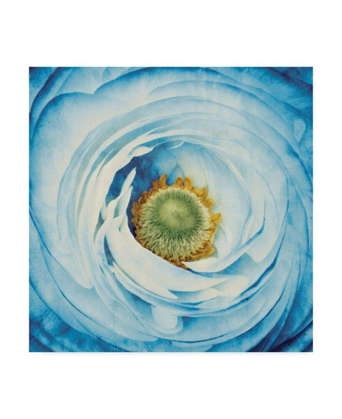 Aledanda White Peony with Blue Canvas Art - 15" x 20"