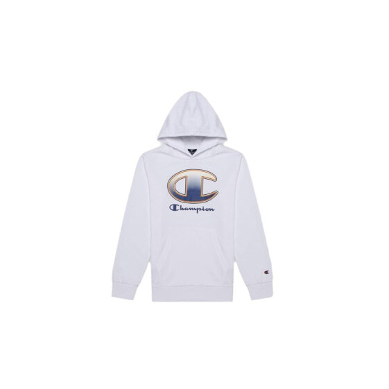 Champion Hooded Sweatshirt