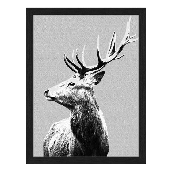 Bild Red Deer