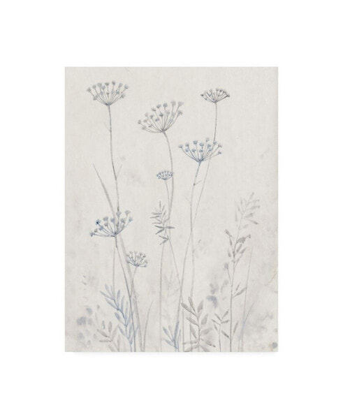 Картина на холсте Trademark Global tim Otoole Нейтральный Queen Anne's Lace II - 15" x 20"