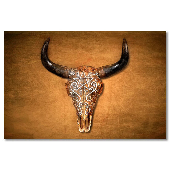 Bild Bison Skull