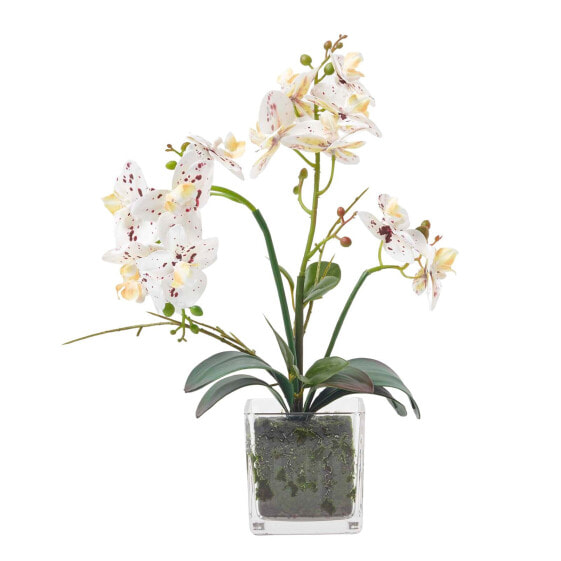 Künstliche weiße Phalaenopsis-Orchidee