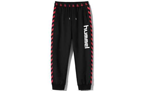 Спортивные мужские брюки черного цвета Hummel Logo 212PK087