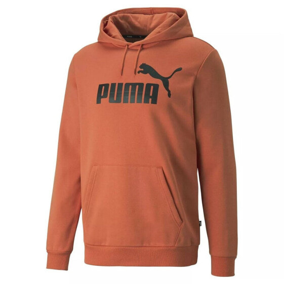 Puma 58668794