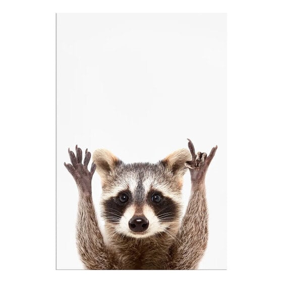 Wandbild Raccoon