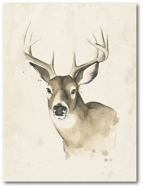 Big Buck I Gallery-Wrapped Canvas Wall Art - 18" x 24"