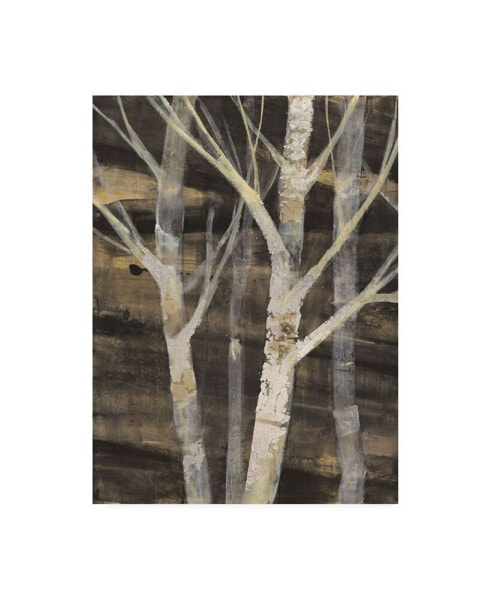 Albena Hristova Silver Trees I Canvas Art - 36.5" x 48"