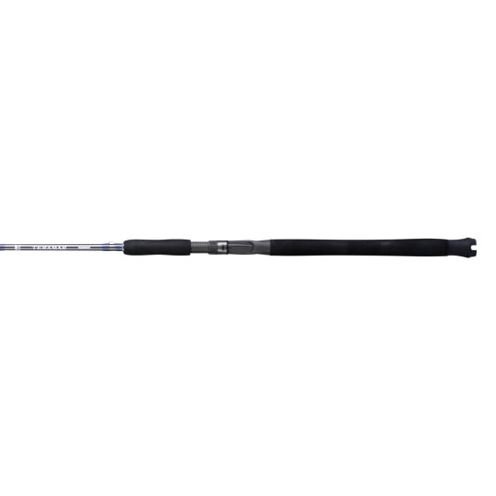 Shimano TERAMAR NE CASTING, Saltwater, Inshore, Spinning, 6'6", Medium Heavy,...