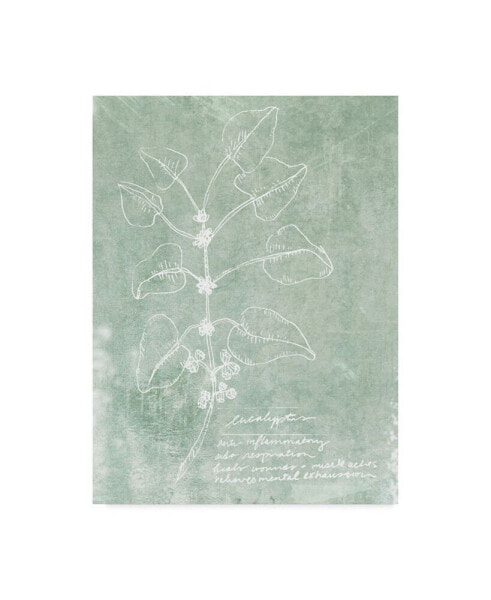 Jarman Fagalde Essential Botanicals I Canvas Art - 20" x 25"