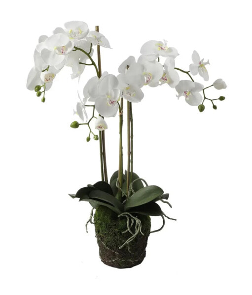 Künstliche Orchidee in Erde