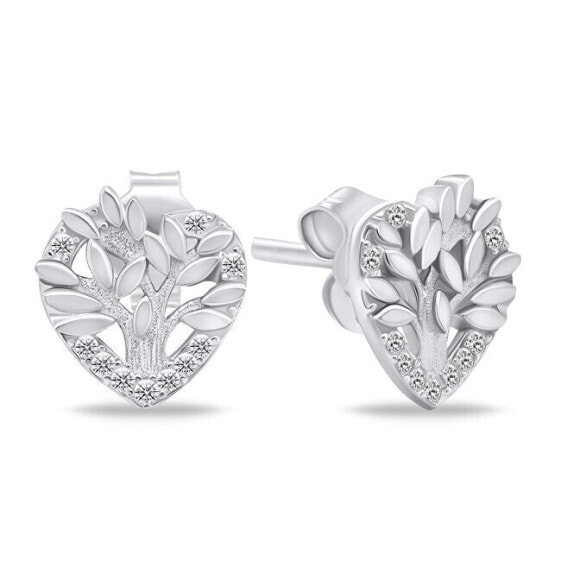 Silver earrings with zircons EA1049W