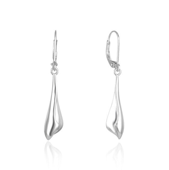 Fashion silver dangling earrings AGUC2706
