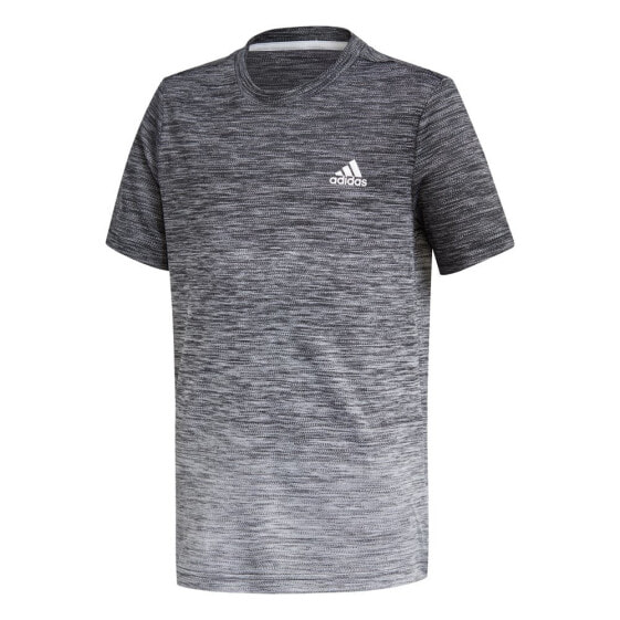 ADIDAS Aeroready Grad short sleeve T-shirt