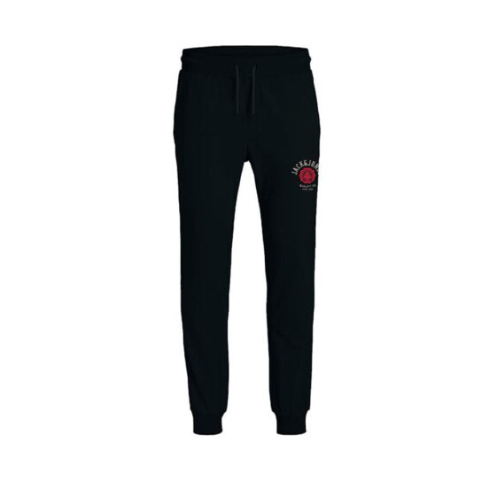 JACK & JONES Jpstlogo pants