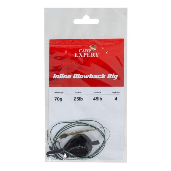 CARP EXPERT Blowback tied hook