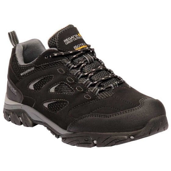 REGATTA Holcombe IEP Low Hiking Shoes