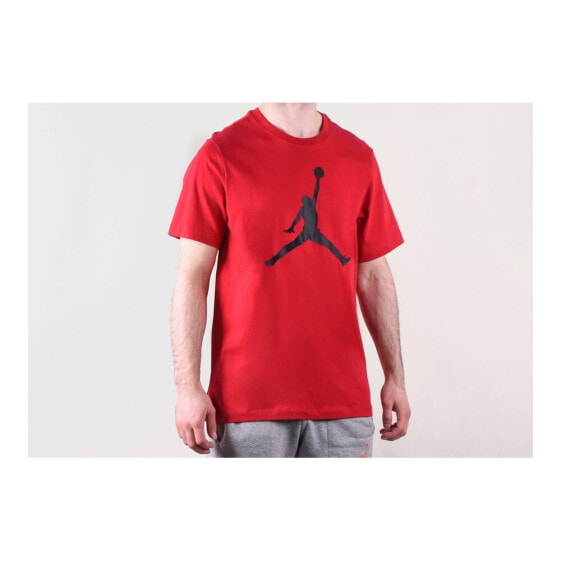 Nike Air Jordan Iconic