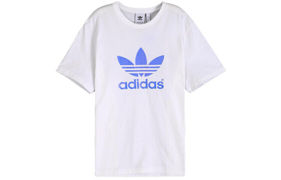 Футболка Adidas Originals LogoT DP8570 Белая с синим логотипом