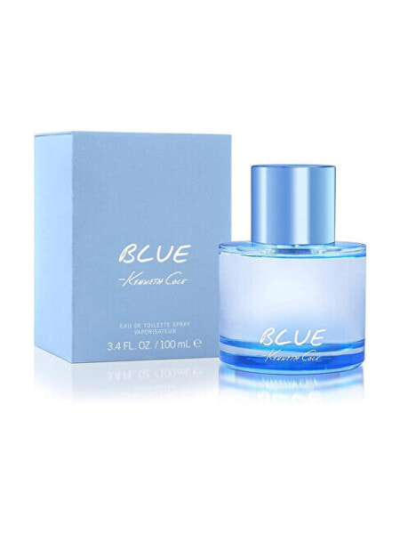 Парфюмерия мужская Kenneth Cole Blue - Туалетная вода EDT