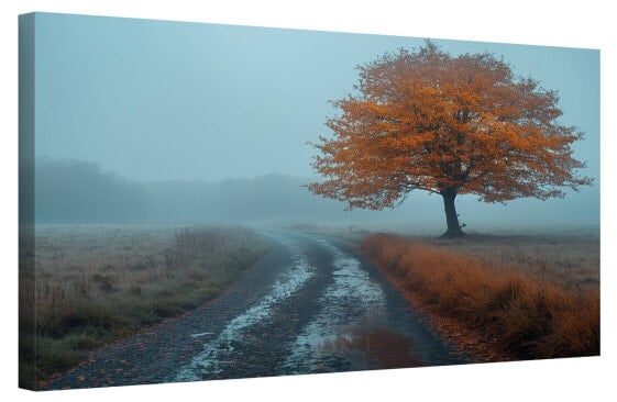 Bild Wald Bäume XXIV