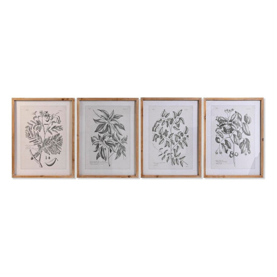 Painting DKD Home Decor Fir Crystal 50 x 65 x 2 cm 50 x 2 x 65 cm Botanical plants (4 Pieces)