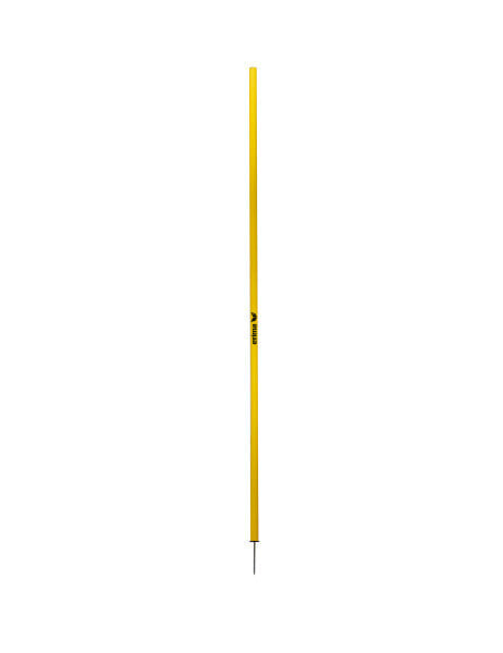 Slalom pole with peg