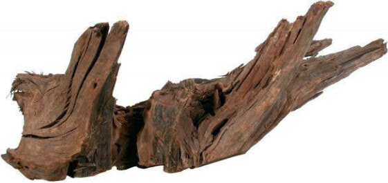 Zolux Korzeń Mangrowca 40-60 cm