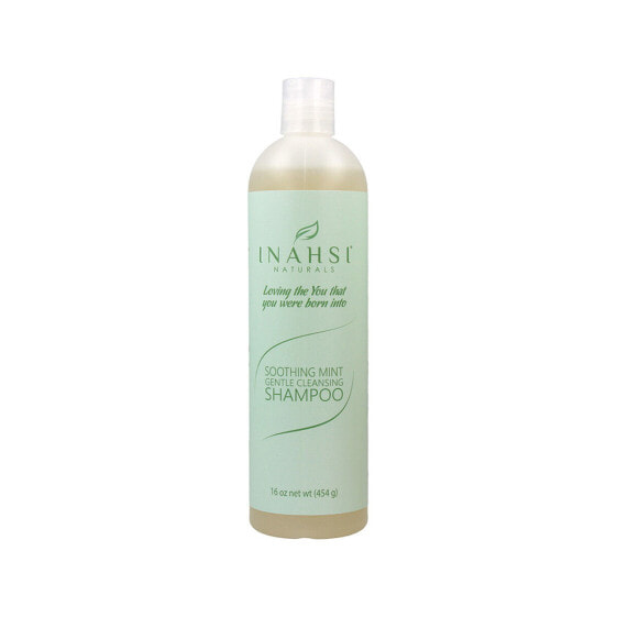 Шампунь Inahsi Soothing Mint Gentle Cleansing (454 g)