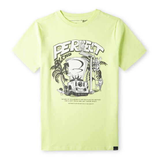 O´NEILL Blend short sleeve T-shirt