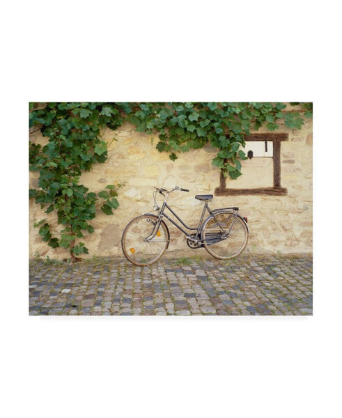 Monte Nagler Bicycle Turckheim France Color Canvas Art - 37" x 49"