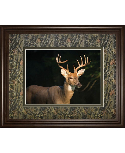 White Tail Buck by Tony Campbell Double Matted Framed Print Wall Art - 34" x 40"