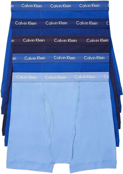 Calvin Klein 273878 Men's Classics Boxer Brief, Periwinkle/ Dark Blues, Small