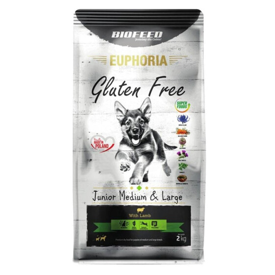 BIOFEED Euphoria gluten free junior medium & large lamb 2 kg dog food