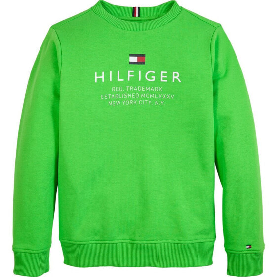 TOMMY HILFIGER Logo sweatshirt