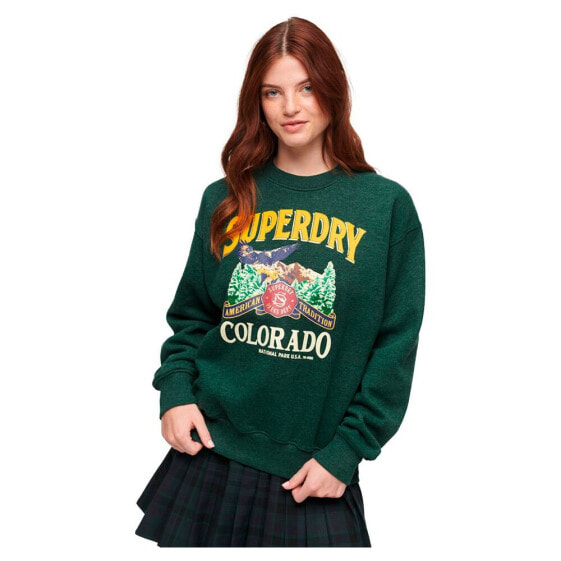 Толстовка Superdry Travel Souvenir Graphic