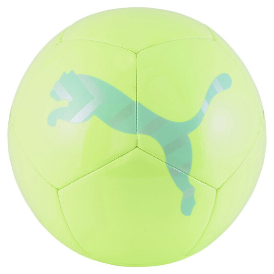 Мяч футбольный PUMA Icon 12-панельный
