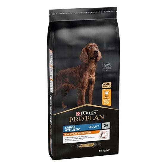 PURINA Pro Plan Adult Athletic 14kg Dog Food