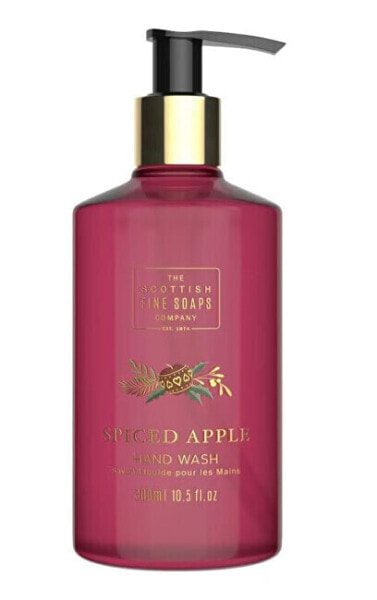Liquid hand soap Apple & Spice (Hand Wash) 300 ml