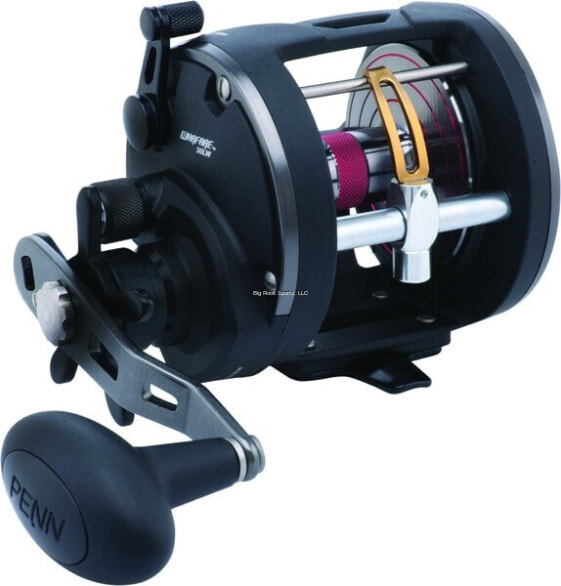 Penn WAR30 Warfare Star Drag Conventional Reel, RH, 3BB, 5.1:1