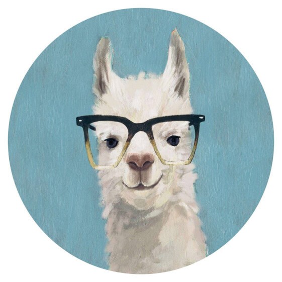 Lama mit Brille IV