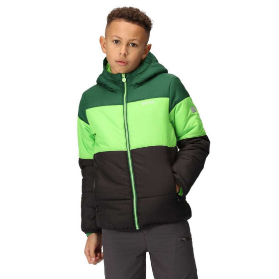 Куртка детская Regatta Lofthouse VII, утепленная, водоотталкивающая, термоизоляция Thermoguard, с отражающими элементами