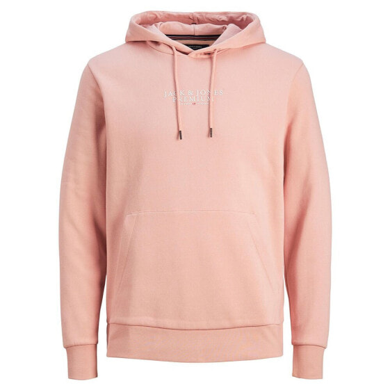 JACK & JONES Bluarchie hoodie