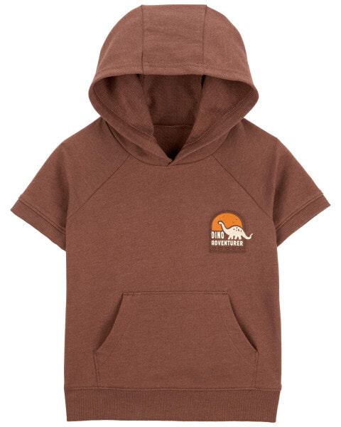 Toddler Hooded Dino Adventure Pullover 4T