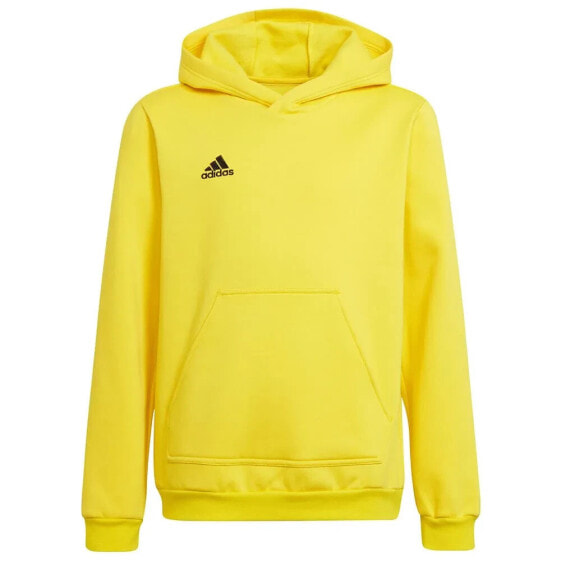 ADIDAS Entrada 22 hoodie