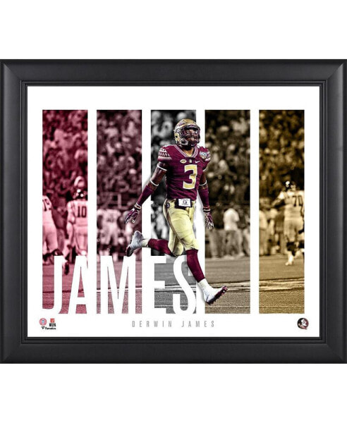 Derwin James Florida State Seminoles Framed 15'' x 17'' Player Panel Collage