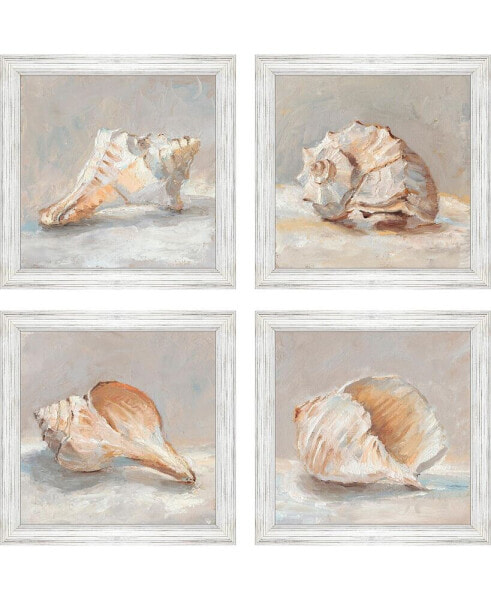 Shell Study Framed Art, Set of 4