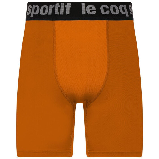 LE COQ SPORTIF Training Shorts
