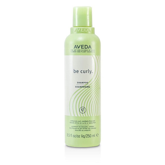 AVEDA Be Curly 250ml Curly Hair Shampoo