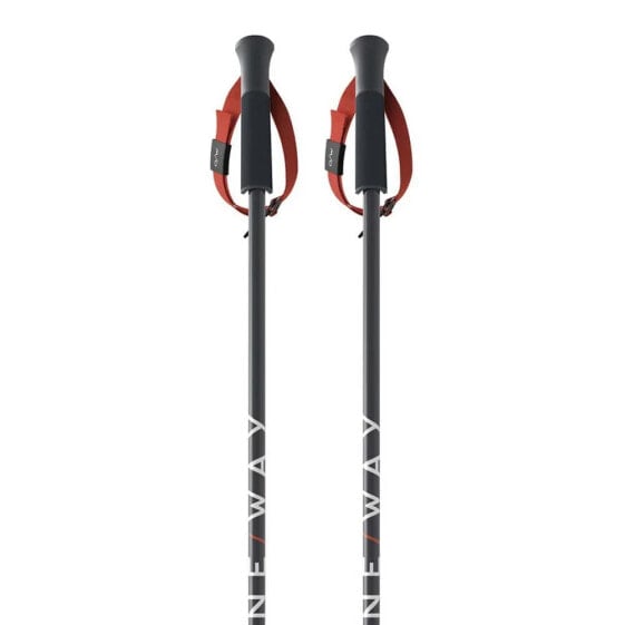 FISCHER RD SL Junior Poles